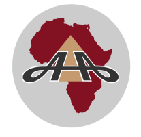 African Advanced Academy